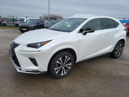 LEXUS NX 300h 2WD Design MY21 à vendre à Beaune - Image n°1