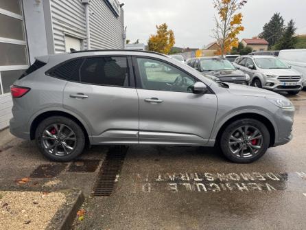 FORD Kuga 2.5 Duratec 225ch PHEV ST-Line X BVA à vendre à Beaune - Image n°4