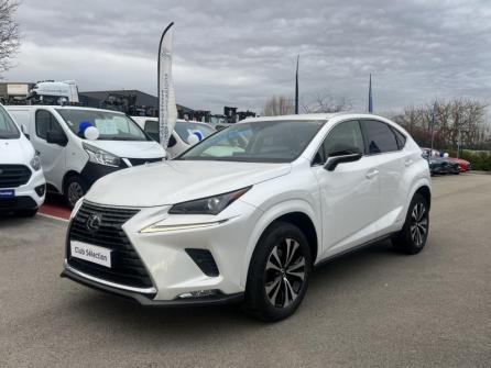 LEXUS NX 300h 2WD Design MY21 à vendre à Beaune - Image n°1