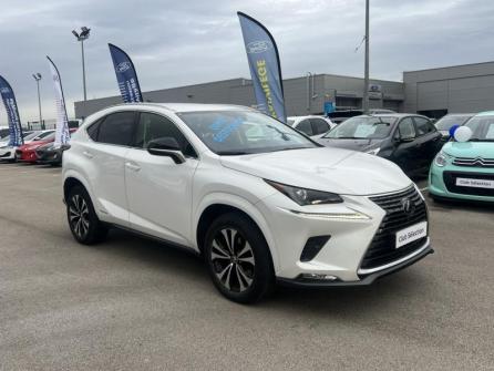 LEXUS NX 300h 2WD Design MY21 à vendre à Beaune - Image n°3