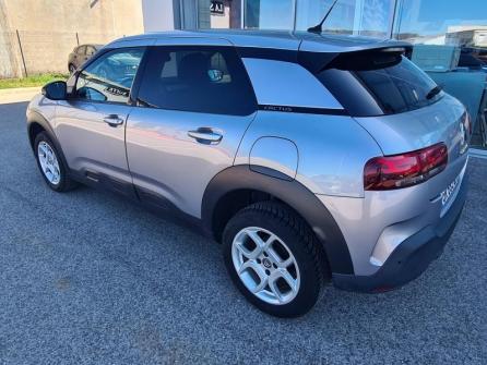 CITROEN C4 Cactus PureTech 110 Shine S&S à vendre à Saint-Claude - Image n°7