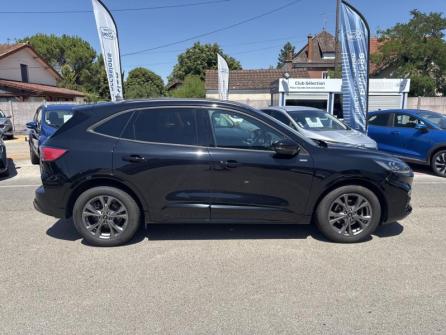 FORD Kuga 2.0 EcoBlue 120ch ST-Line X Powershift à vendre à Beaune - Image n°4