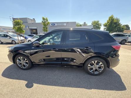 FORD Kuga 2.0 EcoBlue 120ch ST-Line X Powershift à vendre à Beaune - Image n°8