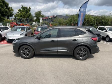 FORD Kuga 2.0 EcoBlue 120ch ST-Line X Powershift à vendre à Dijon - Image n°8