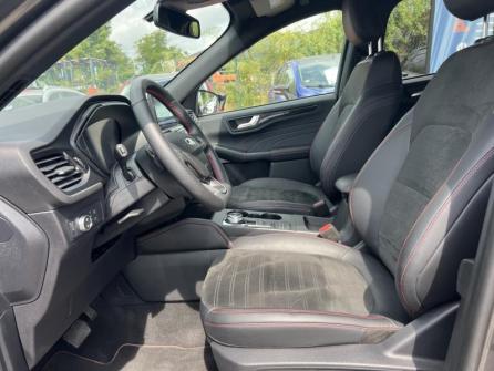 FORD Kuga 2.0 EcoBlue 120ch ST-Line X Powershift à vendre à Dijon - Image n°10
