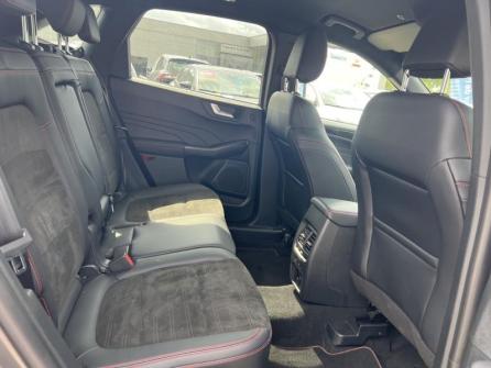 FORD Kuga 2.0 EcoBlue 120ch ST-Line X Powershift à vendre à Dijon - Image n°12