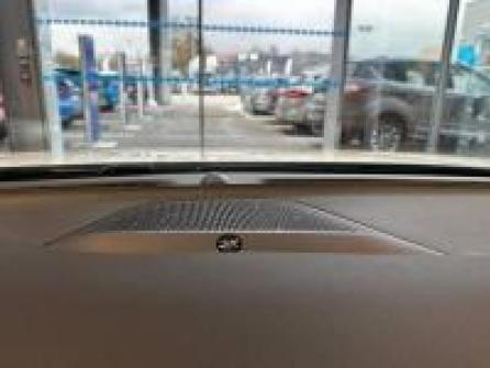 FORD Focus 1.0 EcoBoost mHEV 155ch ST-Line X Powershift à vendre à Dijon - Image n°10